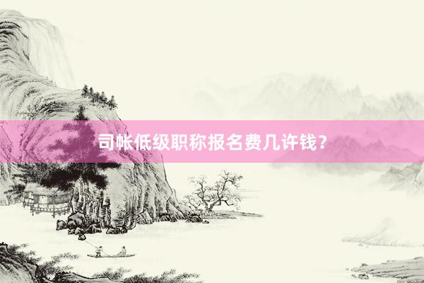 司帐低级职称报名费几许钱？