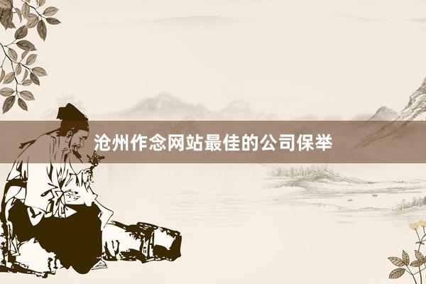 沧州作念网站最佳的公司保举