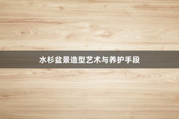 水杉盆景造型艺术与养护手段