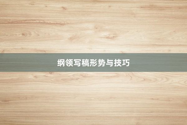 纲领写稿形势与技巧
